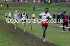 Senior mens Durham Cathedral Relays. Photo: David T. Hewitson/Sports for All Sports